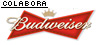 Budweiser